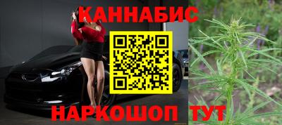 гидра Рязань