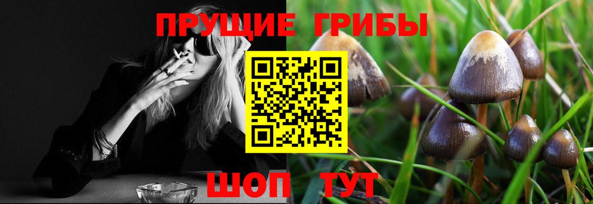 Галлюциногенные грибы ЛСД  Галлюциногенные грибы Psilocybe  Вход с VPN  Барабинск 